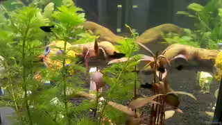 einrichtungsbeispiele de