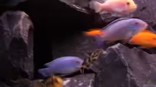 einrichtungsbeispiele